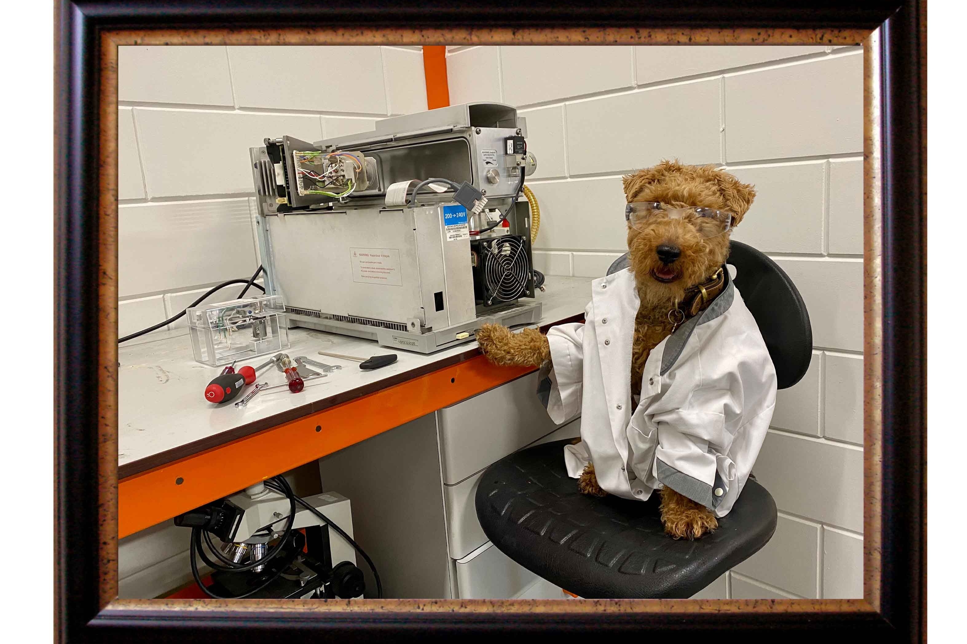 Schoonmaken & Repareren  image 2