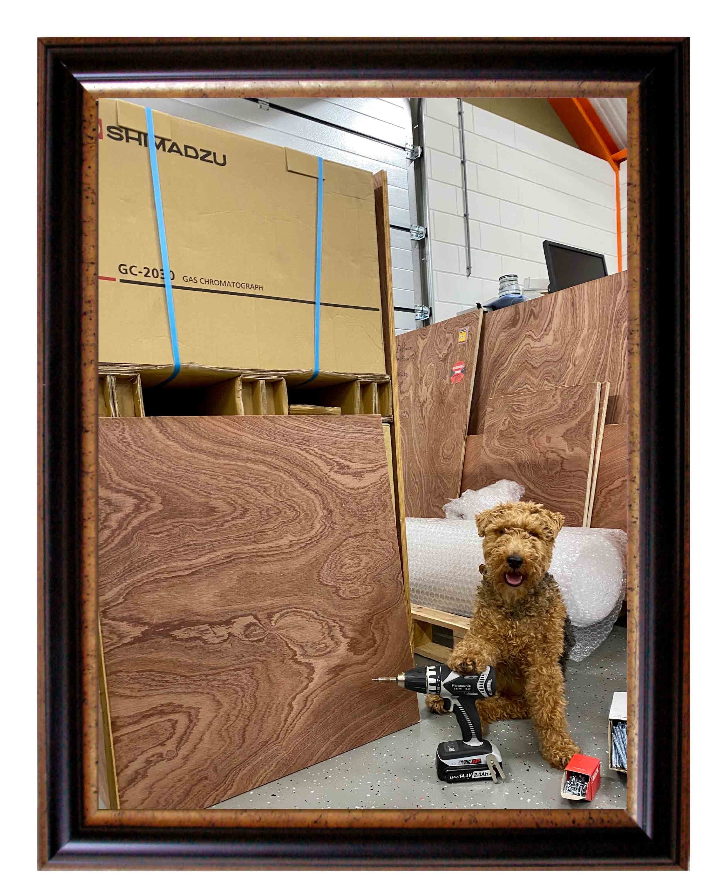 Testen & Inpakken  image 2