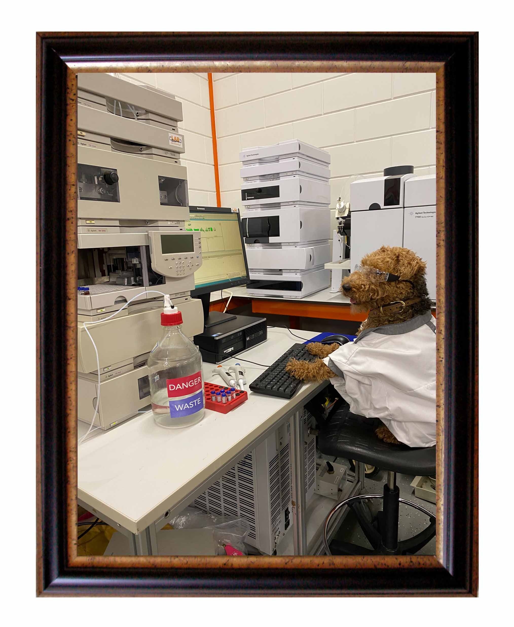 Testen & Inpakken  image 1