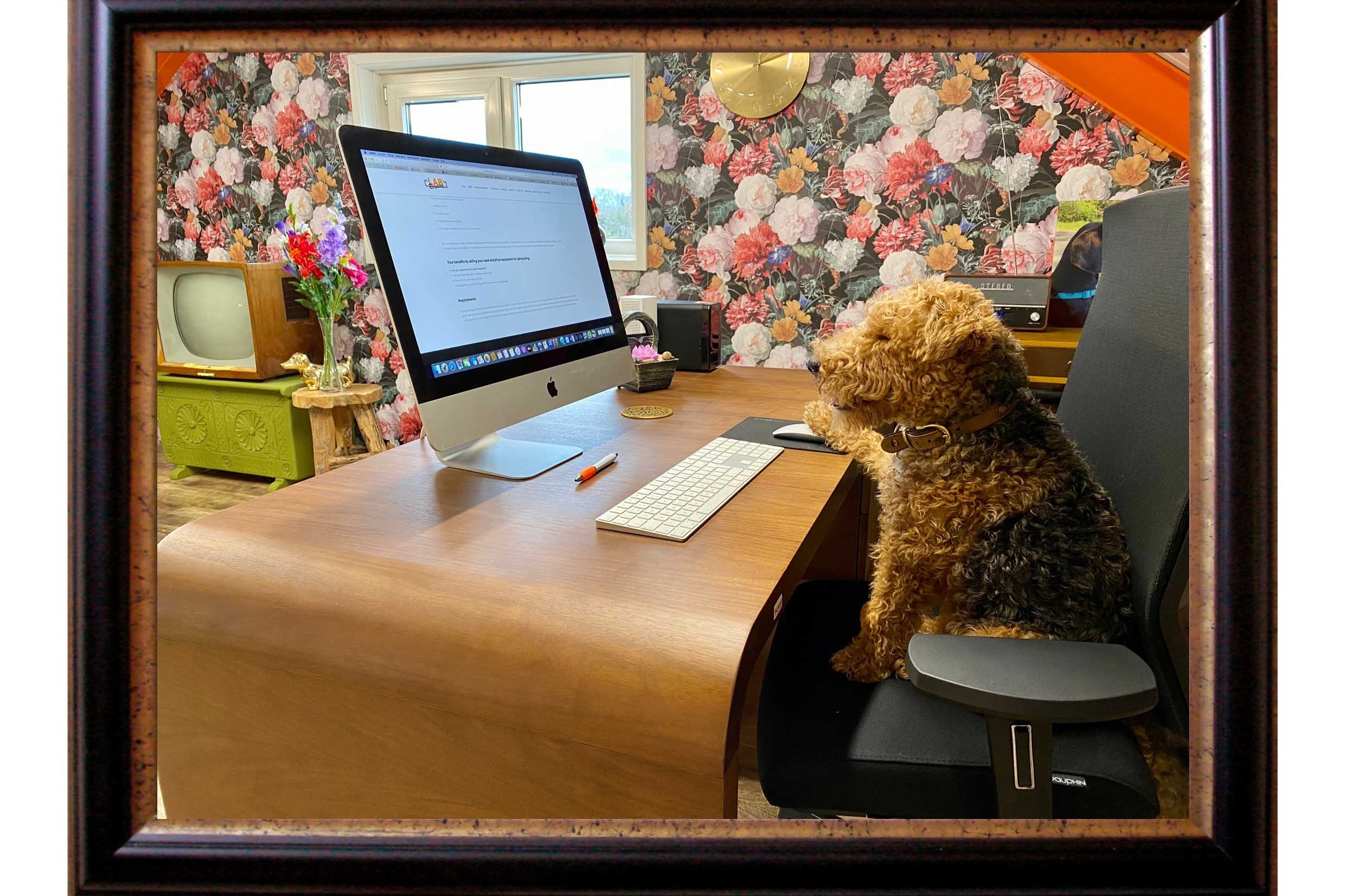 Administratie  image 1